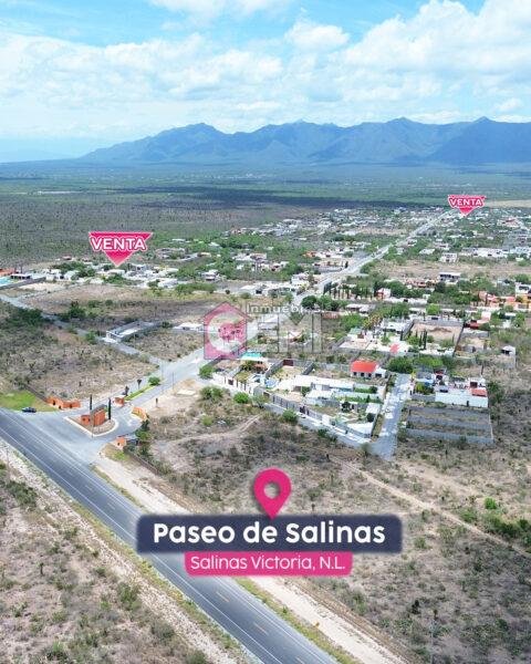 Paseo de Salinas