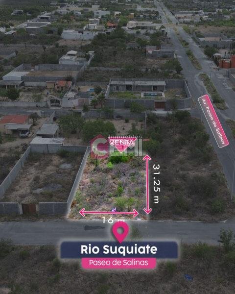 Paseo de Salinas